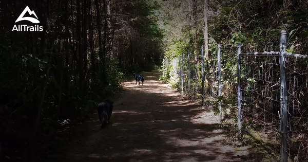 Rotary Bark Park photo 1